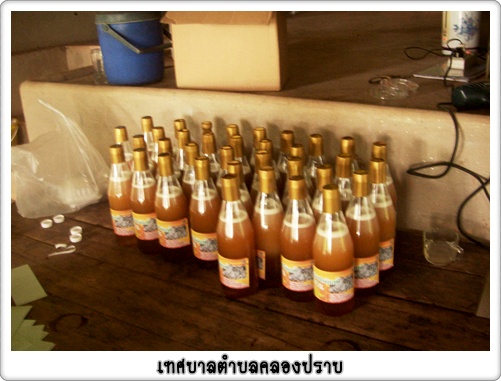 ชมรังผึ้ง
